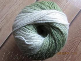 Yarn MIDARA Artistic Wool Jazz 7/2-003 green-white  buy in the online store