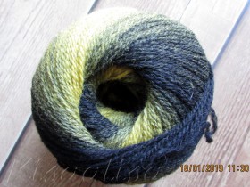 Yarn MIDARA Artistic Wool Jazz 7/2-007 black-yellow  buy in the online store