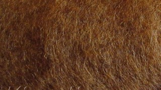 k2012 Wool for felting brown  buy in the online store