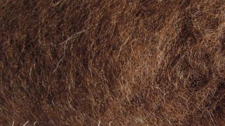 k2013 Wool for felting brown dark  buy in the online store