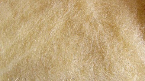 k2016 Wool for felting beige  buy in the online store