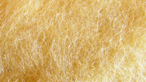 k2017 Wool for felting beige  buy in the online store