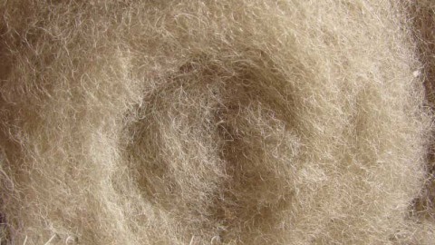 k5010 Wool for felting beige  buy in the online store