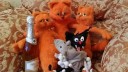 Кот Гарфилд из пряжи Камтекс